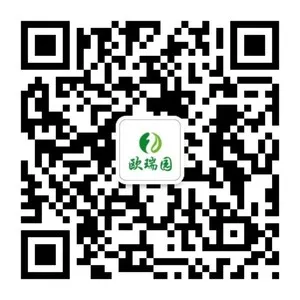 公众号