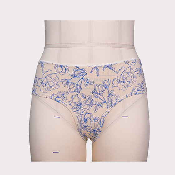 Underwear and Panties Series