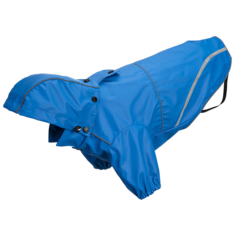 RaIncoat