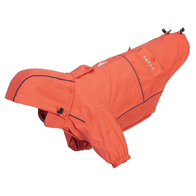 RaIncoat