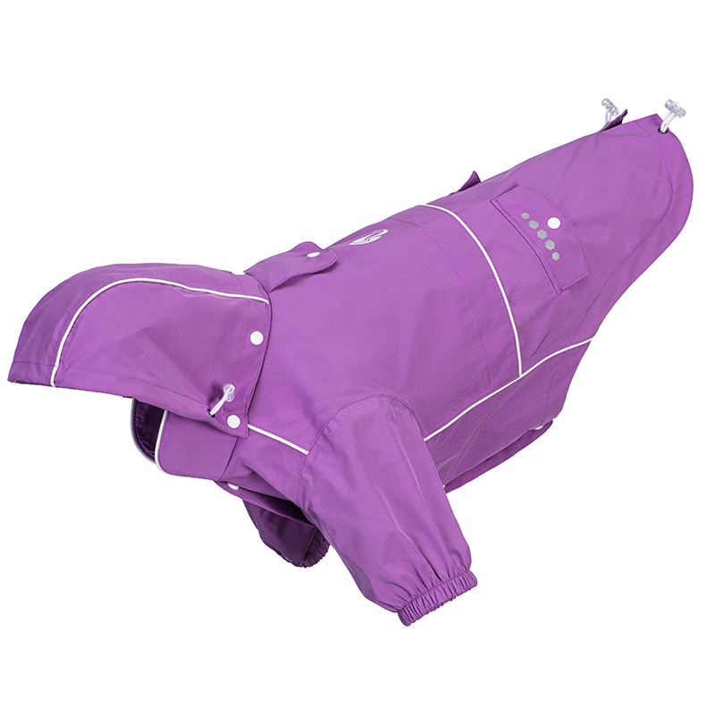 RaIncoat