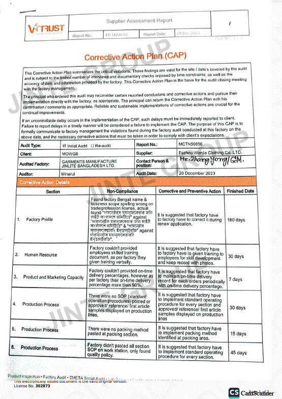 V-trust audit report