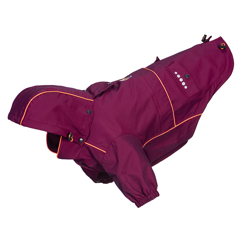 RaIncoat