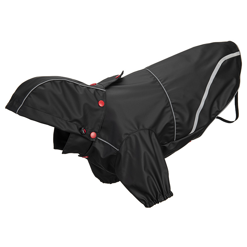 RaIncoat
