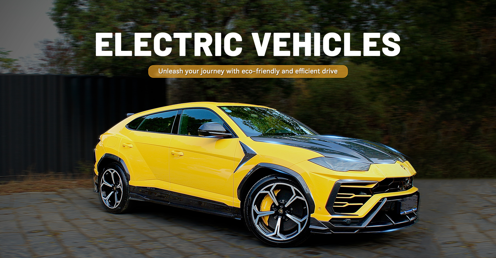 Electric Vehicles