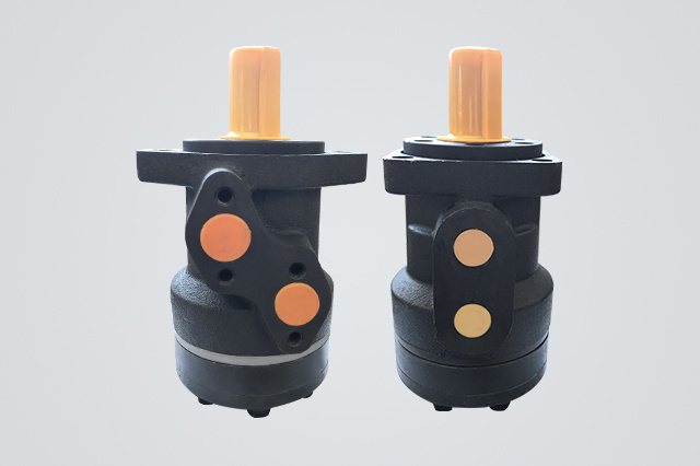 Cycloid hydraulic motor