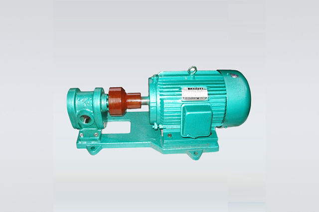 Gear type lubricating oil pump