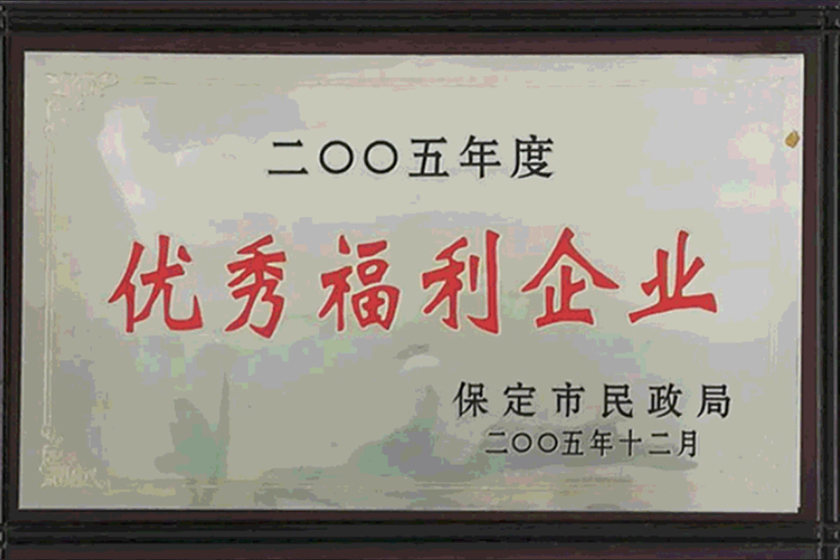 優(yōu)秀福利企業(yè)