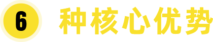 核心优势 核心优势