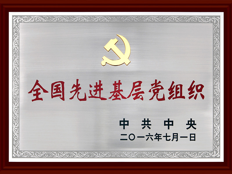 全國先進基層黨組織