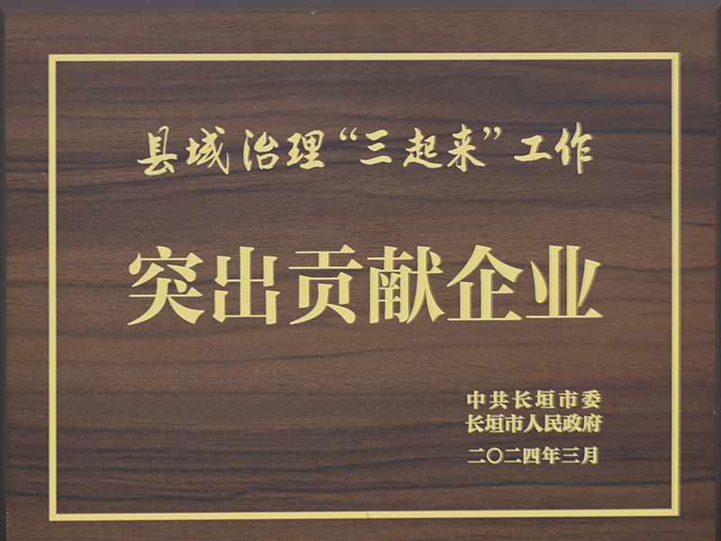 突出貢獻獎