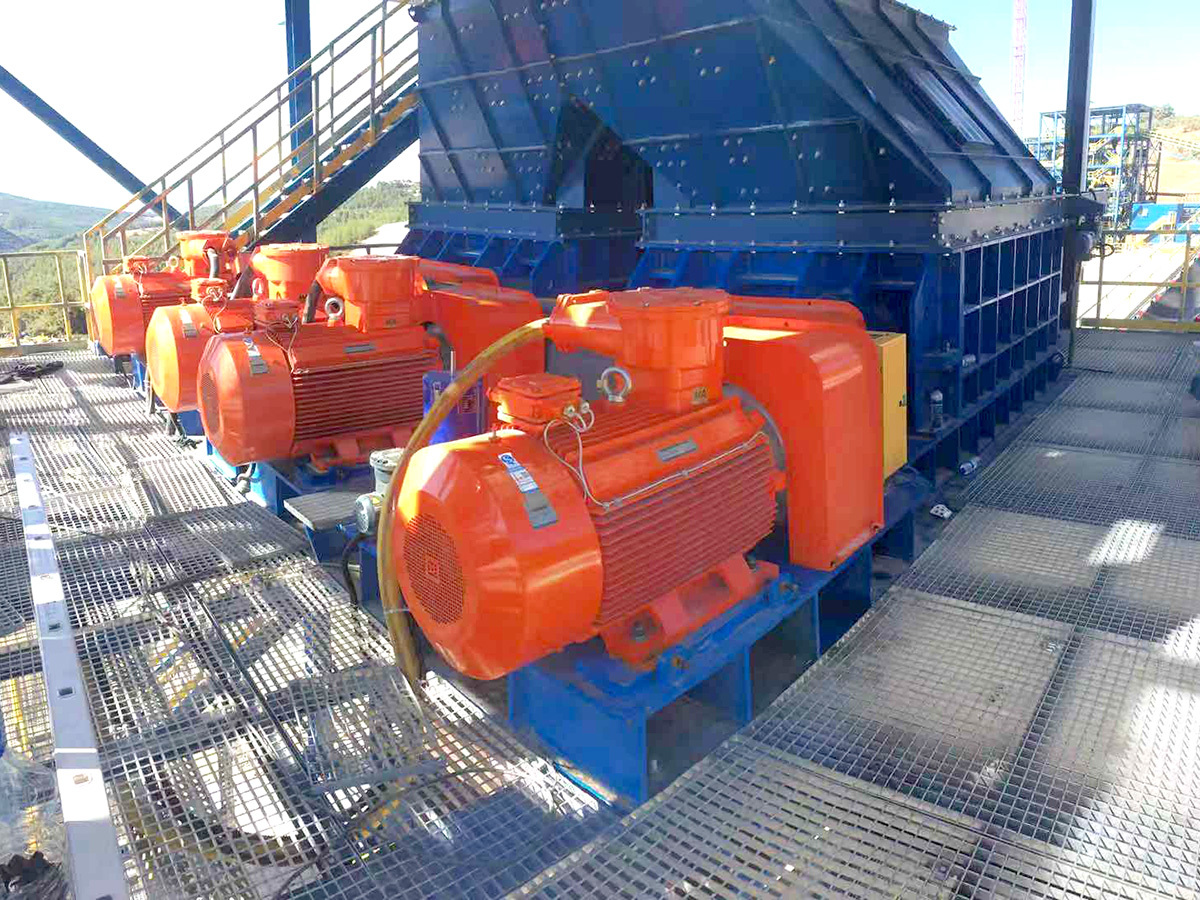 Raw coal crushing project in coal washing plant