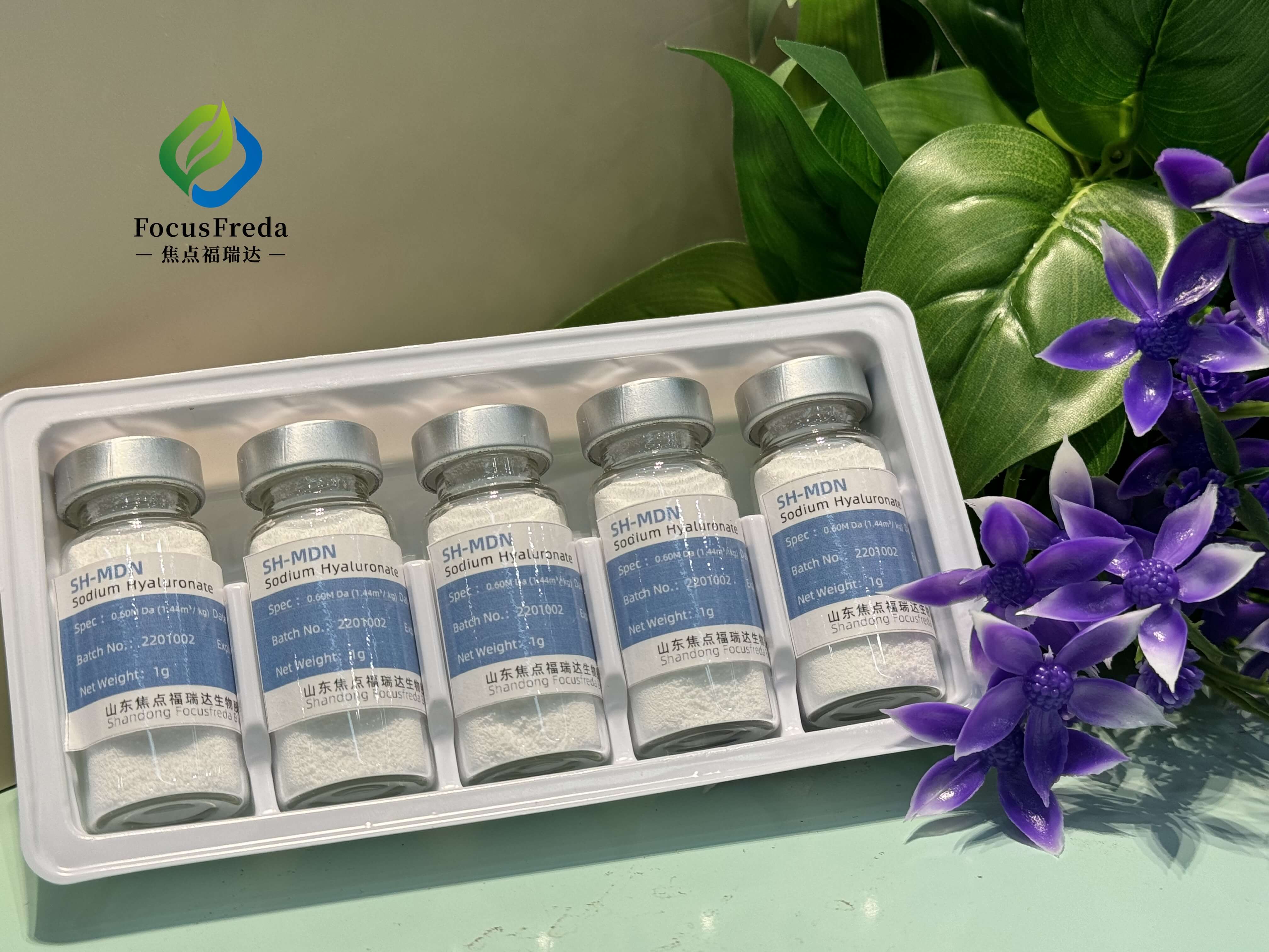 Similarities and Differences between Sodium Hyaluronate Powder and Aqueous Solution