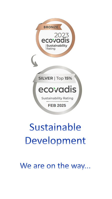 Sustainable Development