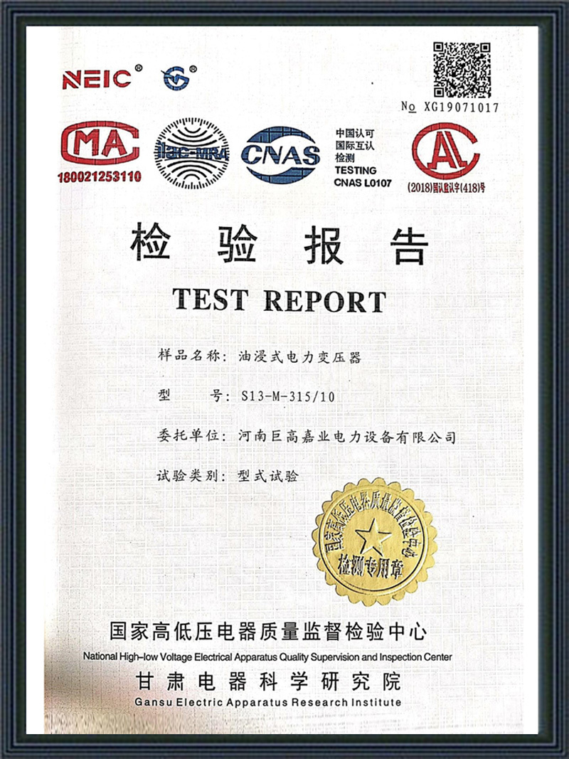 Inspection Report