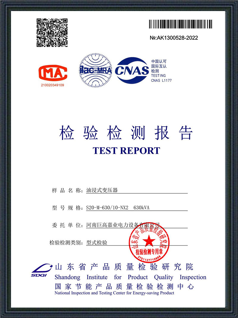 Inspection Report