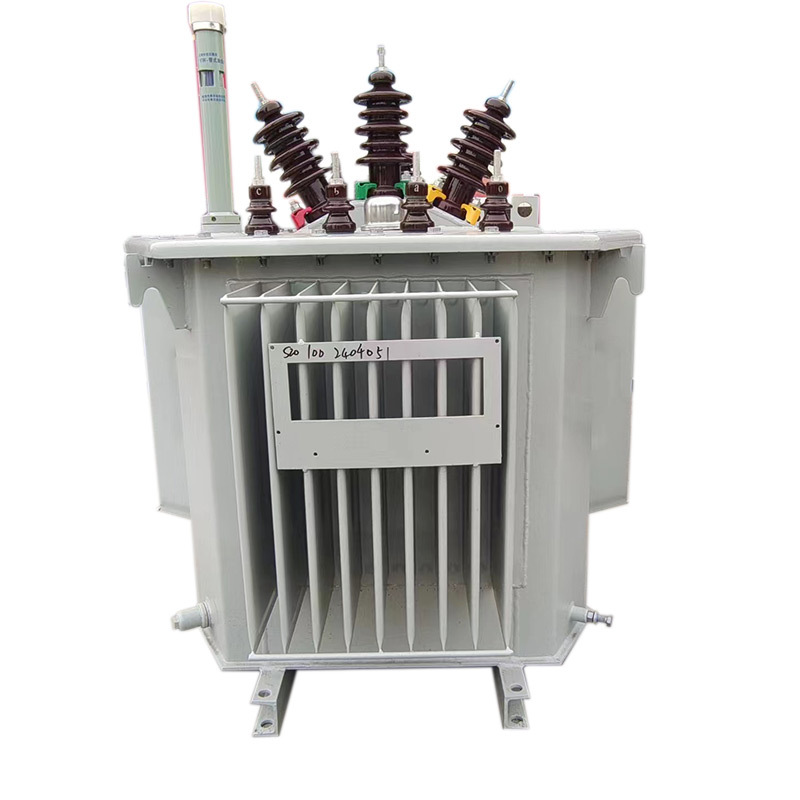 Oil-immersed transformer