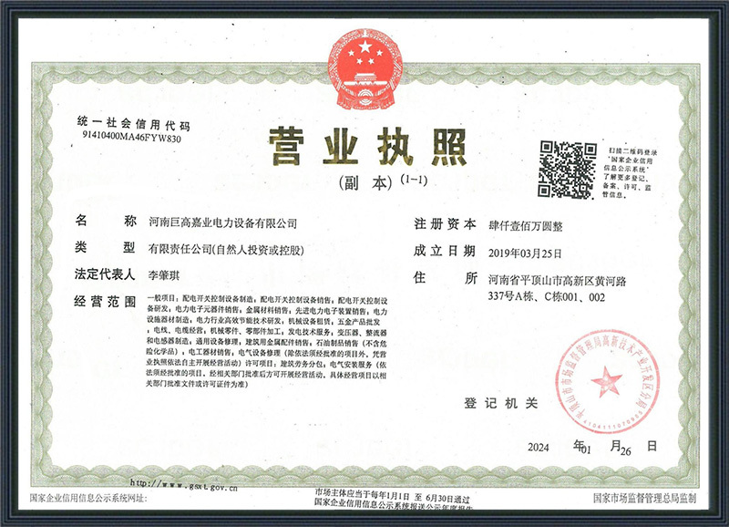 Business License