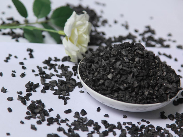 Activated carbon can prevent radiation. Did you know that?