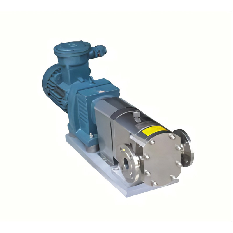 Sanitary cam rotor pump