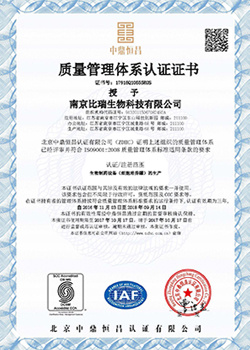 9000 certification certificate