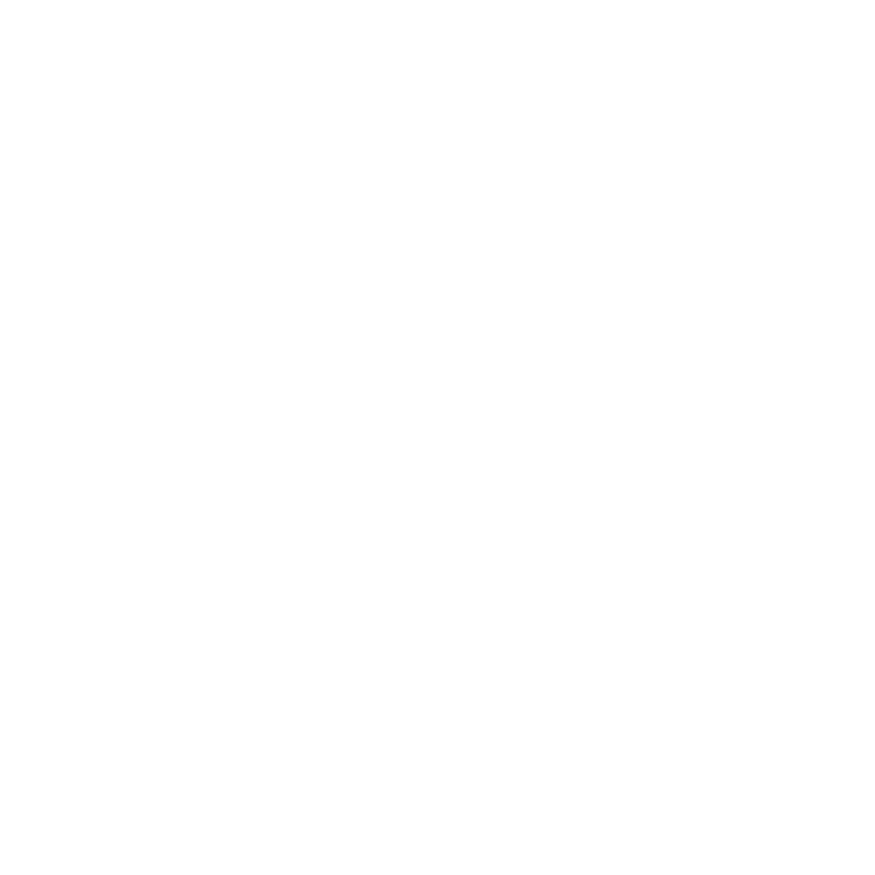 Development History