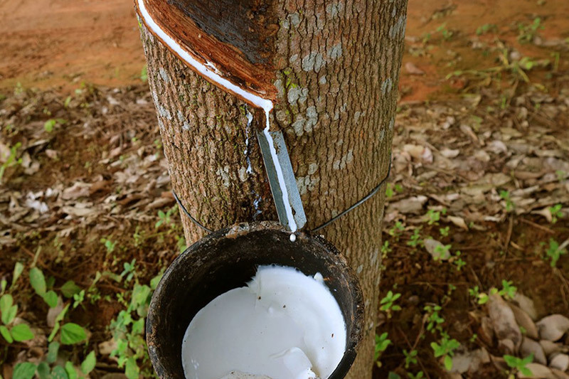 Basic characteristics of rubber products and rubber accessories