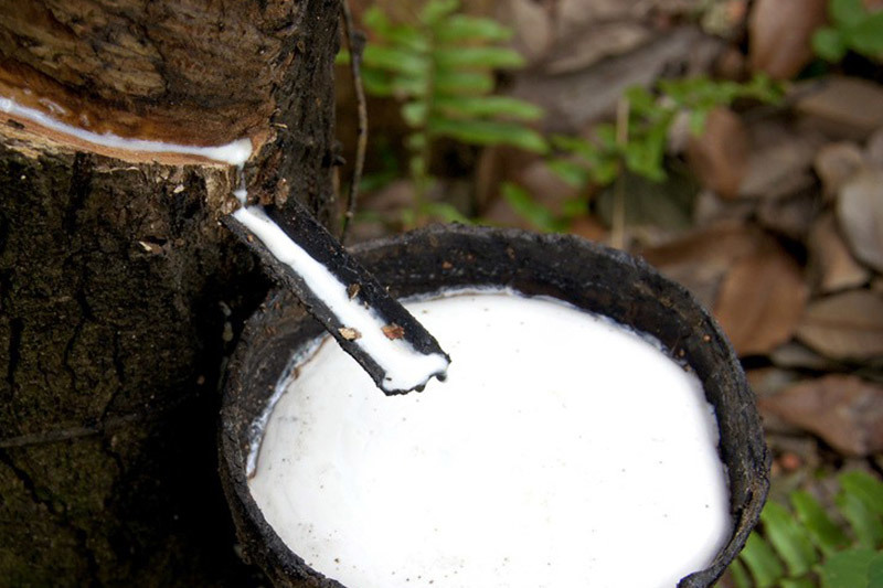 Pay attention to the application of mechanical technology in rubber industry