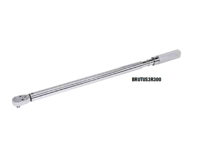 BRUTUS3R300