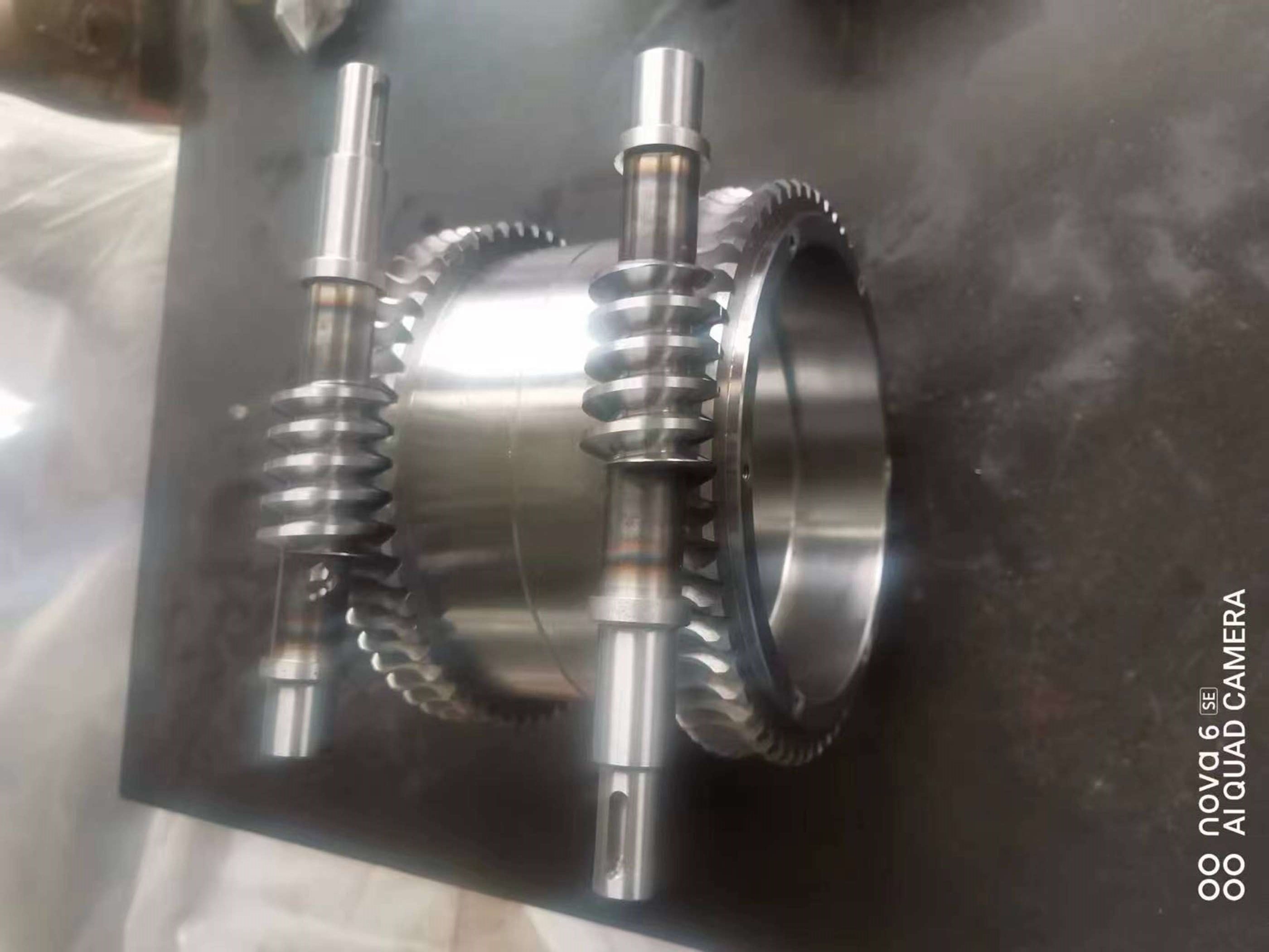 Forward and Reverse Worm Gear Pair