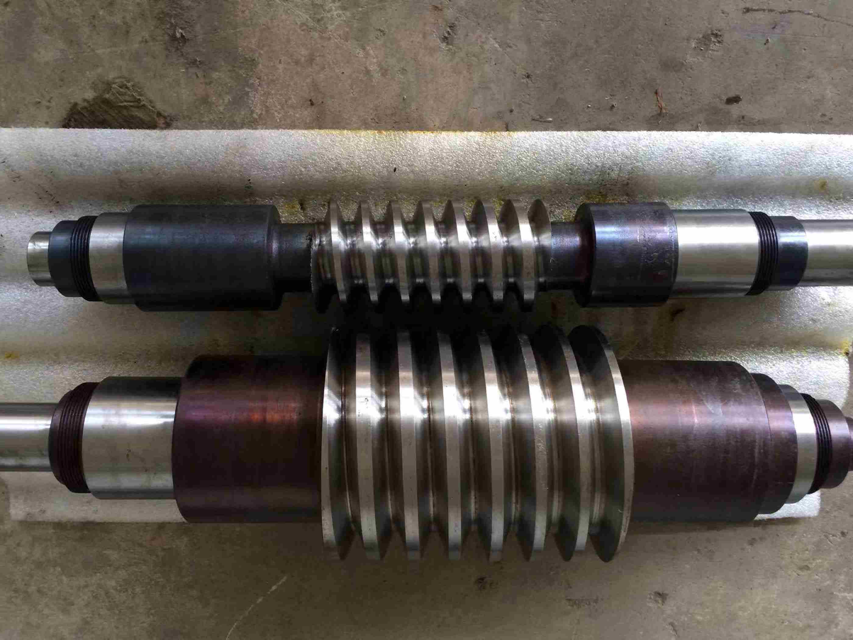 DUAL LEAD WORM