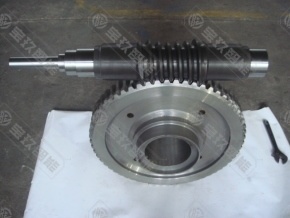 Flat bread worm gear