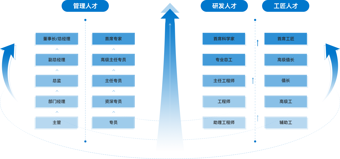 人才发展路径 人才发展路径