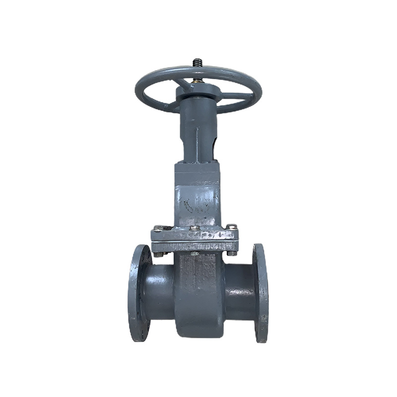 Polyurethane lined gate valve