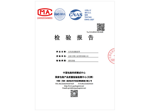 Test Report Chinese Version