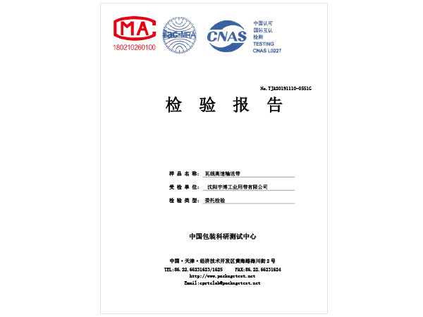 Test Report Chinese Version