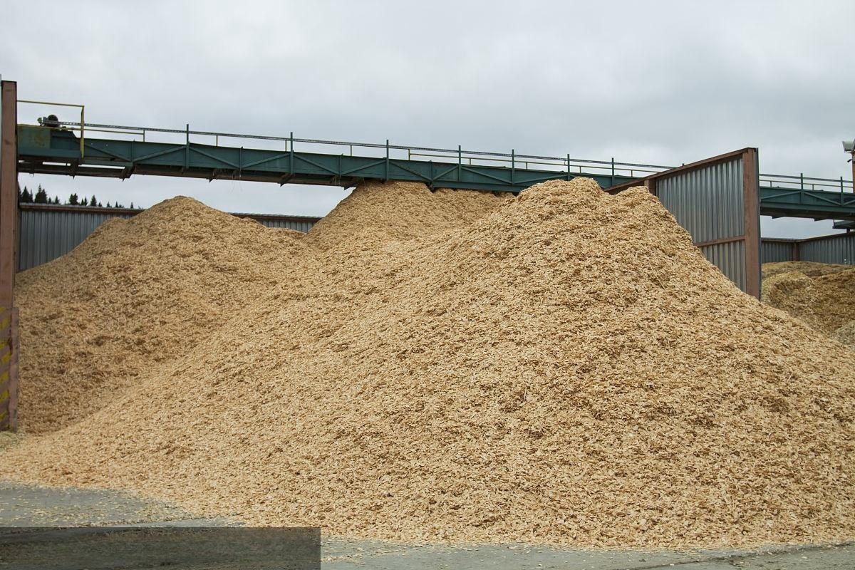 Forestry and Wood Processing