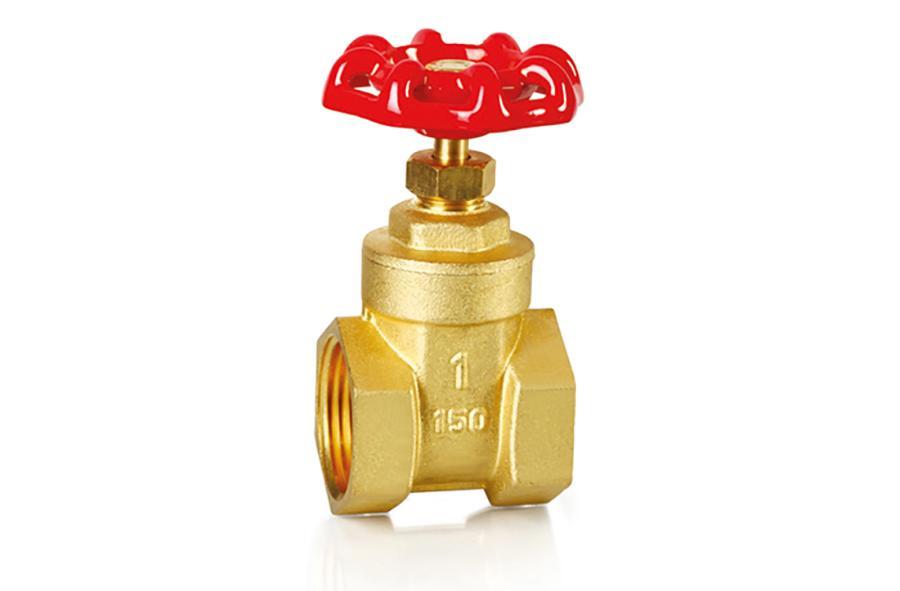 Z1101Brass Gate Valve