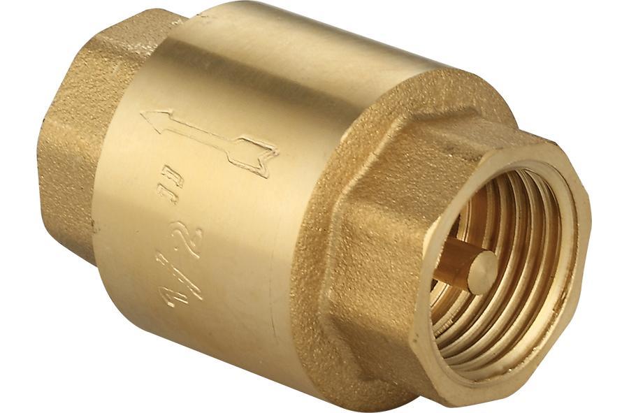 C0516Spring Check Valve
