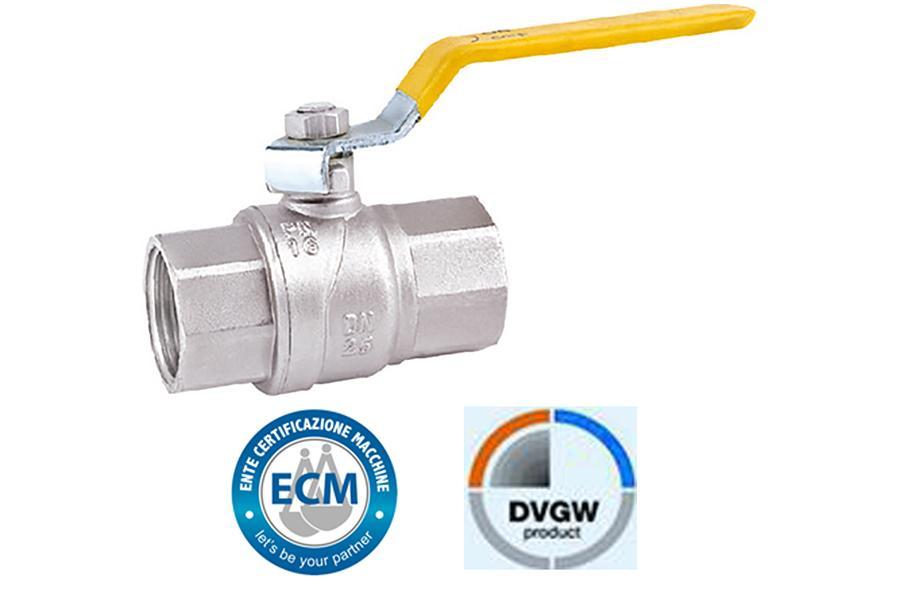 Q6101Gas Ball Valve