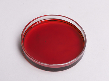 Organic Warm Box Resin