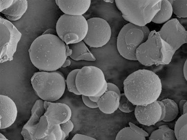 Exploring the Advantages of Phenolic Resin in Tire Manufacturing