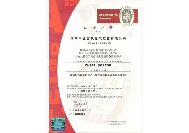 OHSAS 18001:2007 OHSAS 18001:2007