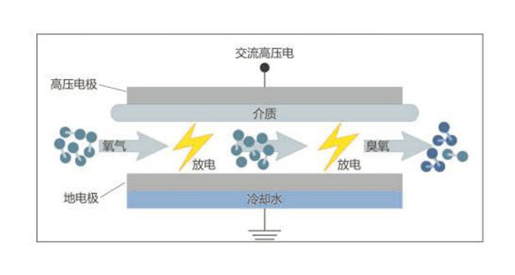 中慧 中慧
