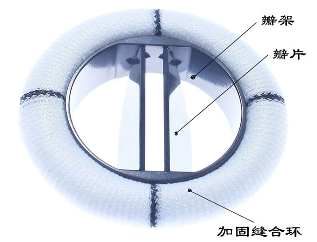 蘭飛醫療