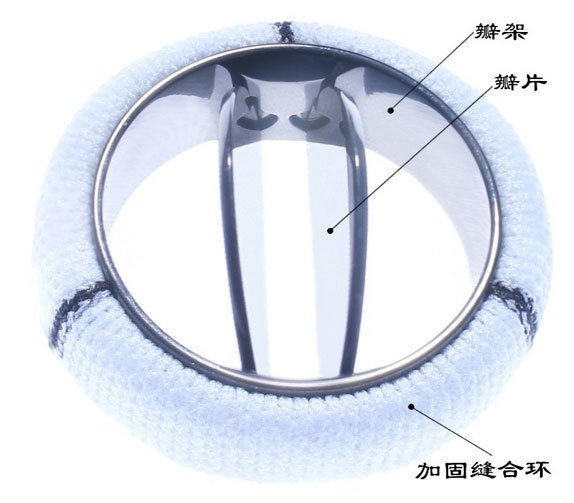 蘭飛醫療