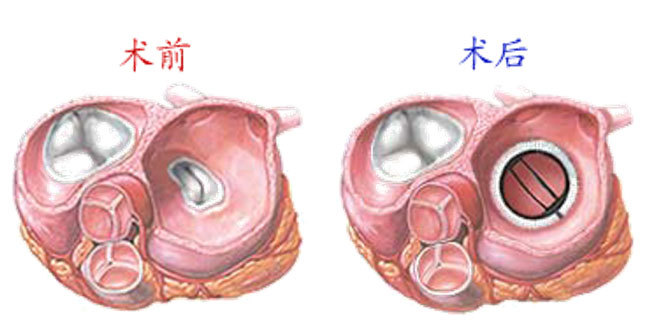 蘭飛醫療