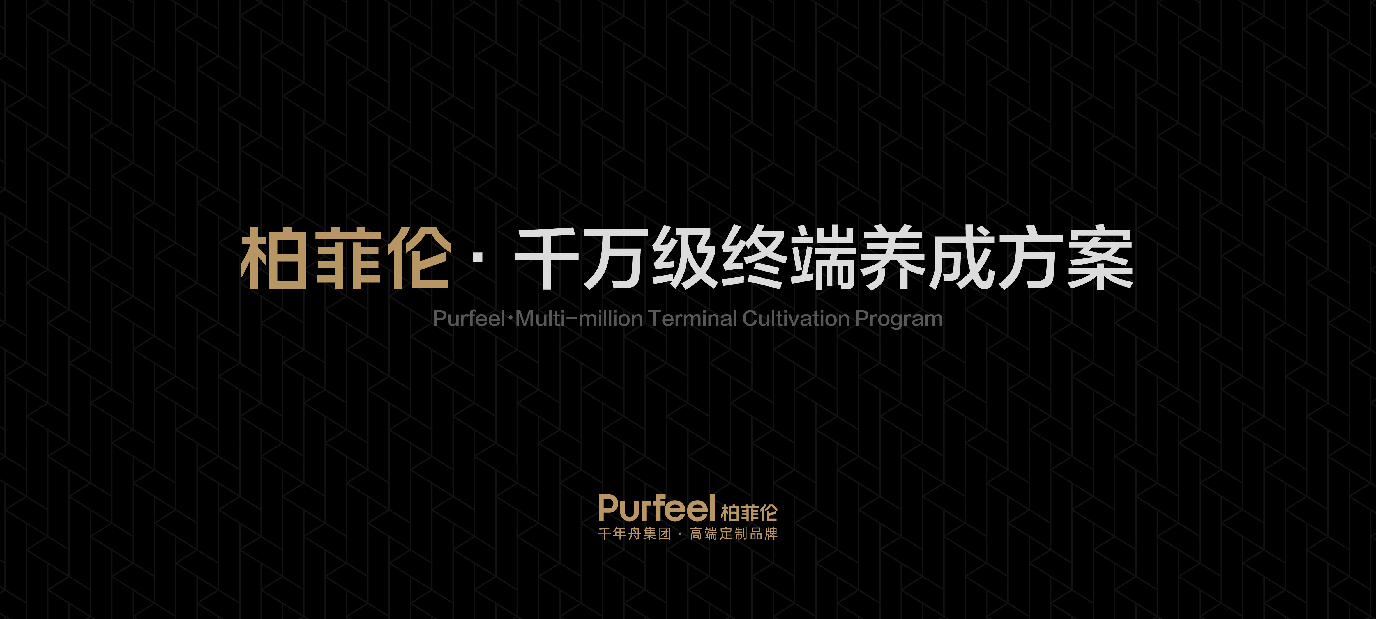 柏菲伦·千万级终端养成方案