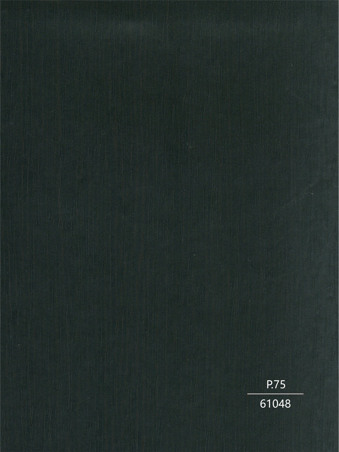 61048