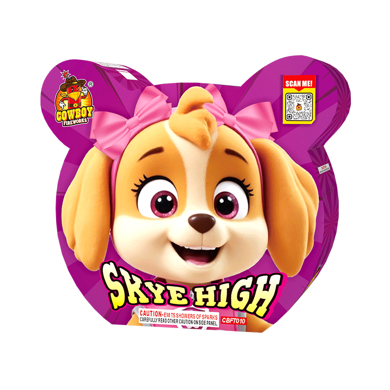Skye High